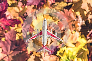 Small toy plane flying above the colorful autumn maple leaves background in the forest. Travel concept. Selective focus.