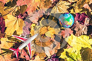 Small toy plane and globe Earth on the colorful autumn maple leaves background in the forest. Travel concept.