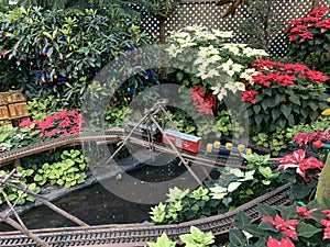 A small train that shuttles through the flowers in the flower house