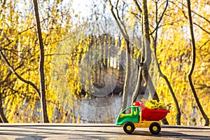 Small toy truck and tractor stands on a wooden surface against a background of a blurry autumn park