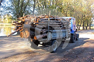 A small tractor with a trailer carries wooden logs.