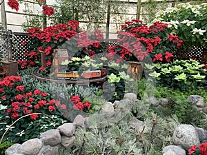 A small train that shuttles through the flowers in the flower house