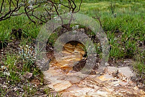 Small tream of water in Canastra Park - Minas Gerais