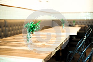 Small tree in the glass jar put on the wooden table for decoration