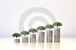 Small tree growing on Money coin stack .Saving money concept. finance sustainable