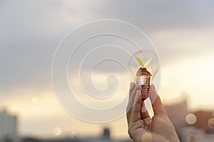 A small tree growing on a silver coin and energy-saving light bulbs, an energy-saving concept