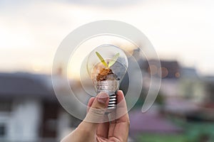 A small tree growing on a silver coin and energy-saving light bulbs, an energy-saving concept and an environmentally