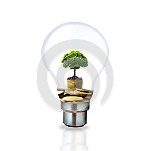 A small tree that grows on a pile of coins in a light bulb on a white background