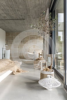 Small tree next to window