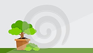 Small tree pot at white grey wall background and copy space, potted tree for clip art cartoon, pot tree on wall for banner