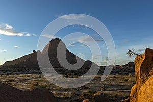 Small tree on rock at Spitzkoppe