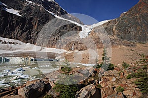 Small Trees at Cavell Pond