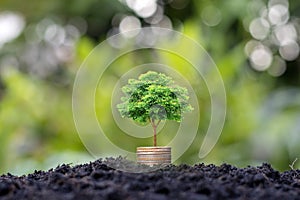 Small trees with green leaves grow on coins or money that overlap naturally with agricultural concepts.