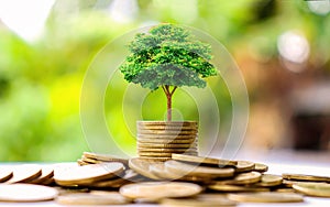 Small trees on a pile of gold coins and a natural green background.