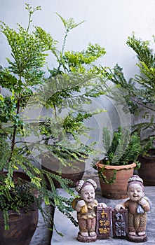 Small trees in the tree pot with Old Statue of the boys and girls wear thai Dress are standing smiling on the cement wall and floo photo