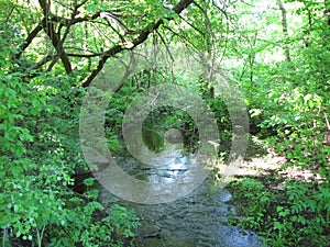 A small tributary of the great river