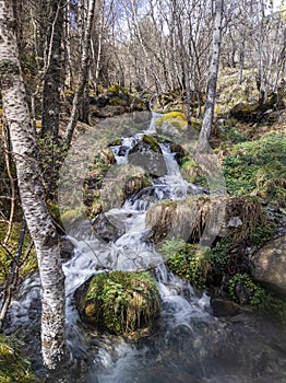 A small tributary to the Tristaina river