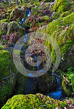 Small trickle of water flowing over moss soaked rocks by the Watkins path, Snowdon