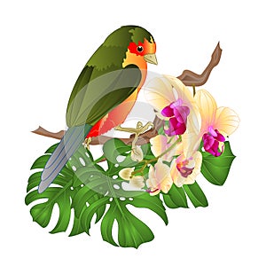 Small tropical bird with tropical flowers  beautiful yellow orchid  phalenopsis palm,philodendron  vintage vector illustration