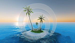 Small tropical island in the ocean with palm trees on a background of beautiful sunset