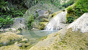Small tropical river