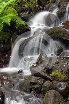 Small tropical waterfall.