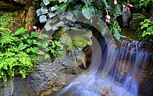 Small tropical waterfall