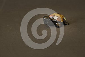 small turtle made of marble, Mexican crafts