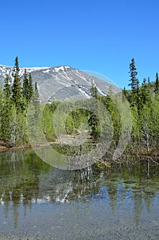 Small unnamed lake in Khibiny mountains in sunny summer day