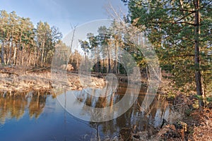 A small, unregulated river flowing through the forest.