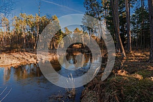 A small, unregulated river flowing through the forest.