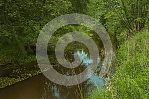 A small, unregulated river.