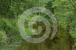 A small, unregulated river.