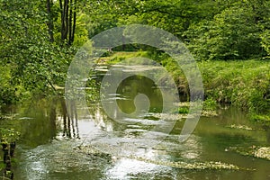 A small, unregulated river.