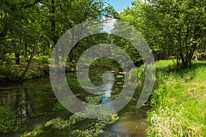 A small, unregulated river.