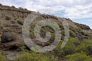 A small valley near to the Southern coast of Tenerife