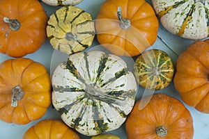 Small Varied Gourds