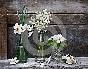 Small vases and bottles with spring flowers