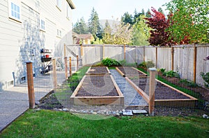 Small vegetable garden in the fenced back yard.