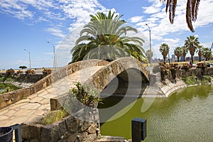 Montevideo. Uruguay.  The Park `Parque de las Instrucciones del Ano XIII`. photo