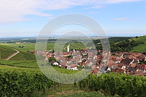 A small village in Alsace surrounded by vineyards
