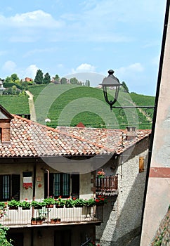 A small village foreshortened