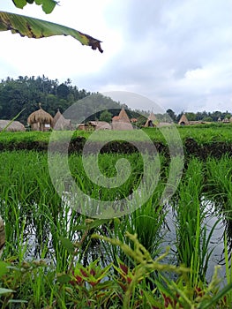 Small Village in Karangasem Bali