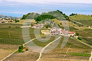 Landscape Langhe hills vineyards. Viticulture near Barolo, Piedmont, Italy, Unesco heritage. Barolo, Nebbiolo,