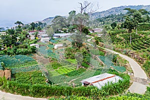 Small village in mountains near Haputale, Sri Lan