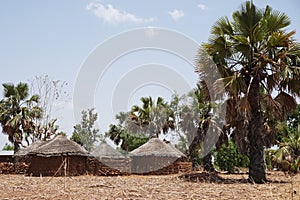 Small village with mud huts in the savanna of Togo, West Africa