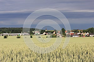 A small village in northern Germany and a wheat field