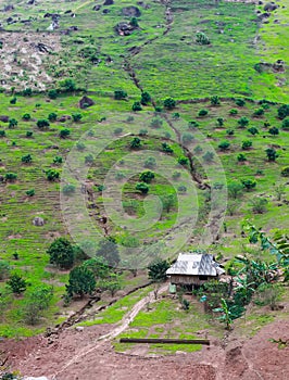 Small village on paddy field. Mountain scenery in Moc Chau, Northern Vietnam. Moc Chau, Vietnam