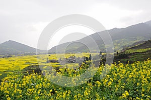 Small village in field