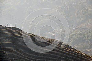 Small village with rice terrace fields